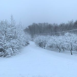 Meet your Posher, Shelby